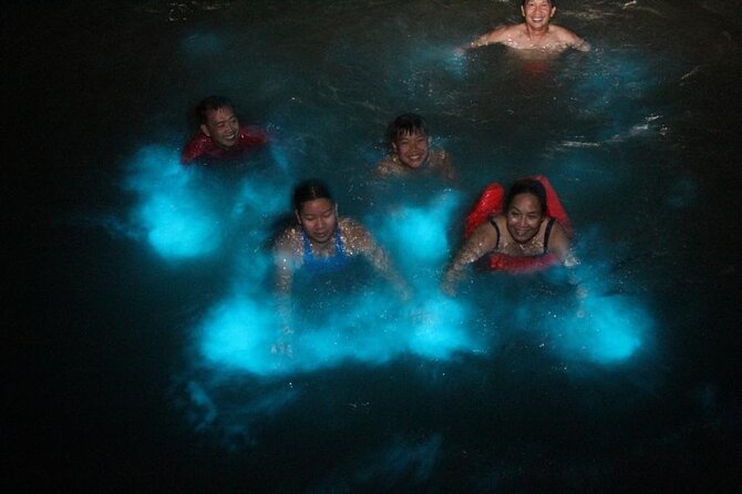 Private Luminous Blue Lagoon Night Tour in Falmouth - Transportation Comfort: Air-Conditioned Ride, WiFi, Bottled Water