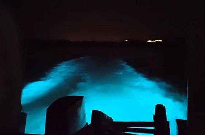 Private Luminous Blue Lagoon Night Tour in Falmouth - Making It Work With Weather and Real Night Energy
