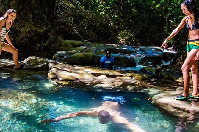 Private Mayfield Falls Waterfalls Tour [ Transportation ] - Private Mayfield Falls from Montego Bay: Car-Free Waterfall Time
