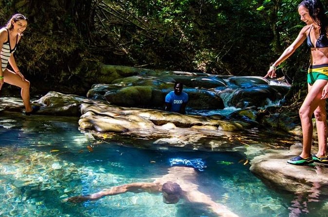 Private Mayfield Falls Waterfalls Tour [ Transportation ] - Duration and Timing: A Realistic Half-Day Plan