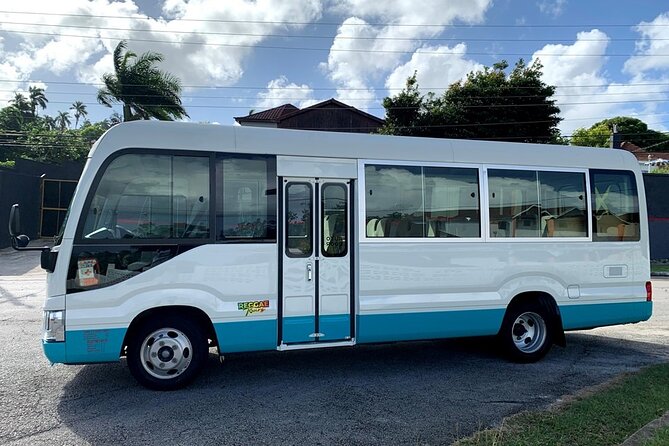 Private Montego Bay Airport Transfer to Negril Hotels - Picture stops, shopping, and lunch, at your pace