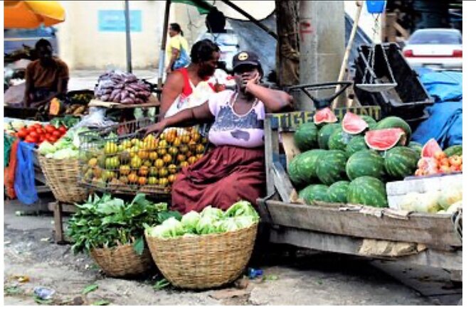 Private Montego Bay City Tour with Sightseeing and Shopping - Price and What You Really Pay For at $90
