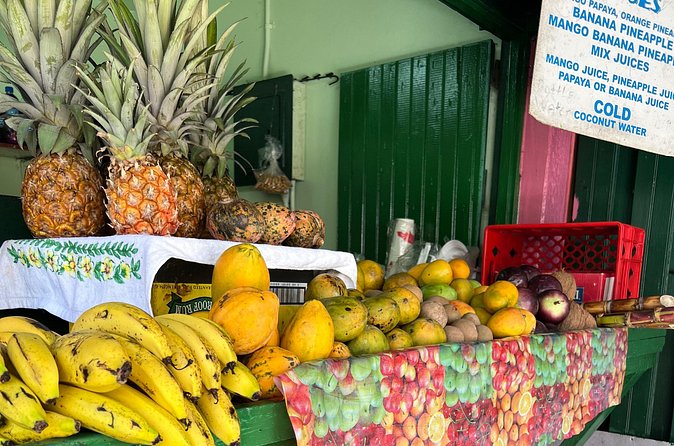 Private Montego Bay Customized Tour with Pickup and Guide - How customization works when you have a private guide