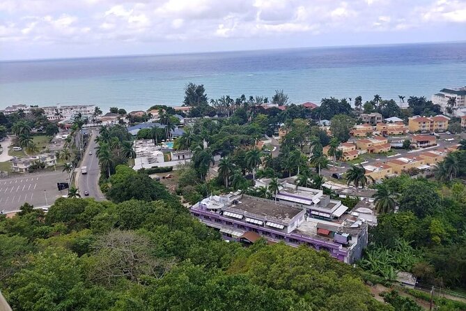 Private Montego Bay Highlights Tour - Key highlights worth planning for