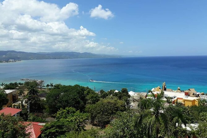 Private Montego Bay Highlights Tour - Farmers market stop, fruit tasting, and small local purchases