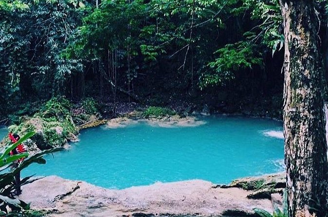 Private Montego Bay Shore Excursion to the Blue Hole - Lunch Situation: How to Handle the Gap Without Missing the Vibe