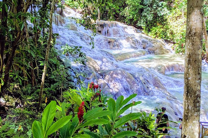 Private Ocho Rios highlight tour - Key highlights I’d plan around
