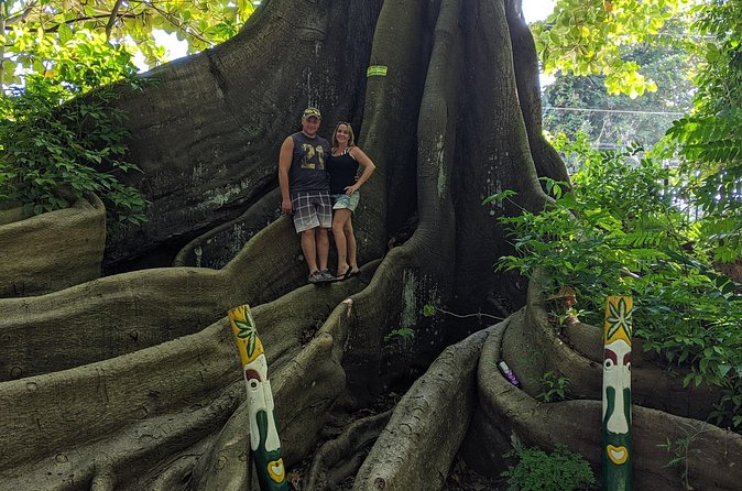 Private Ocho Rios highlight tour - Fern Gully: short rainforest time with a change of pace