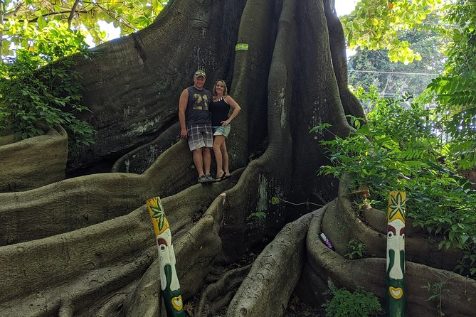 Private Ocho Rios highlight tour - Timing and pacing: why four hours works so well here