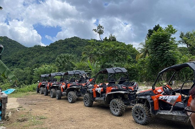 Private Rasta Safari Cultural UTV Village Experience - Private tour value, plus the guide energy that makes it work