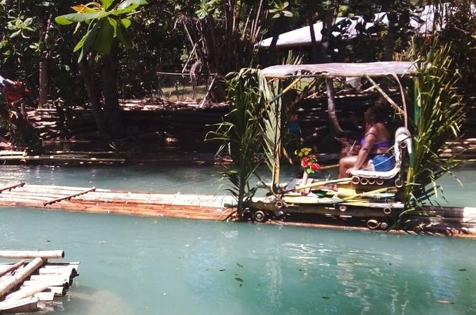 Private River Bamboo Rafting Activity in Ocho Rios Jamaica - What you learn from the banks: plants with everyday jobs