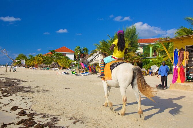 Private Seven Mile Beach and Rick’s Café Tour From Negril Hotels - Who should book this Negril beach and Rick’s Café plan