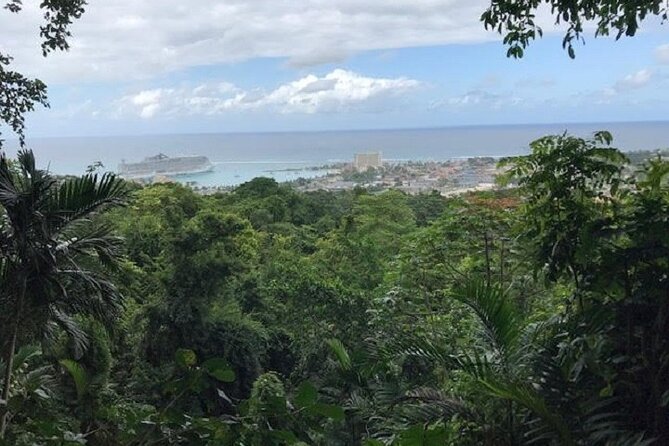 Private Sightseeing Tour in & Around Ocho Rios - Ocho Rios Sightseeing by Road, Done as a Private Day