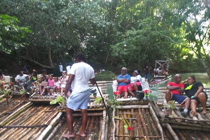 Private Sightseeing Tour in & Around Ocho Rios - Near the Botanical Gardens Area: Medicinal Plants and Spices in Plain Sight