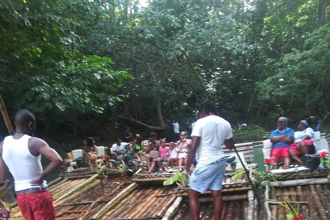 Private Sightseeing Tour in & Around Ocho Rios - Fern Gully Road: Where the Views Are the Attraction