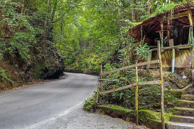 Private Sightseeing Tour in & Around Ocho Rios - What’s Included, What’s Not, and Why the Price Feels Fair