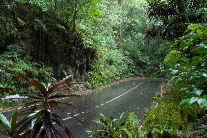 Private Sightseeing Tour in & Around Ocho Rios - How to Get the Most From a 2 to 3 Hour Private Day