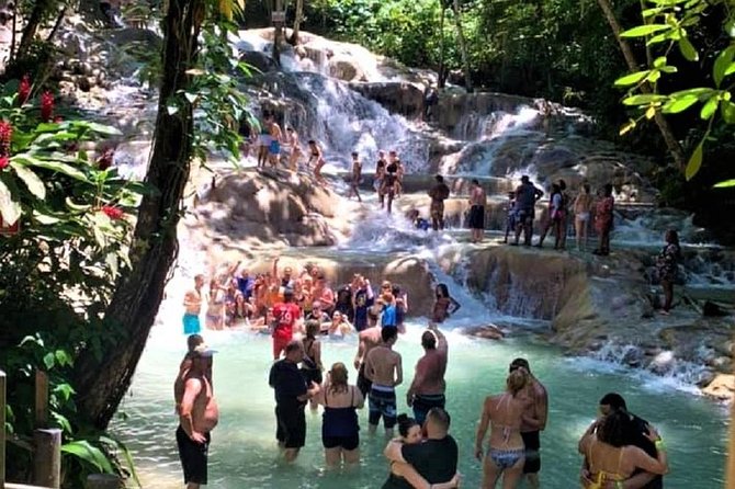 Private Tour - Dunn's River Falls and Ocho Rios Experience from Ocho Rios - Private setup from Ocho Rios: what makes this day work
