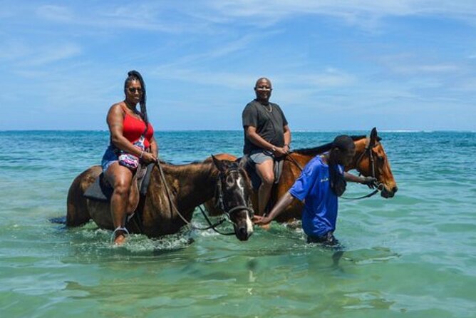 Private Tour from Montego Bay to Horse Back Riding and Bluehole - Montego Bay to Ocho Rios, with pickup that saves your energy