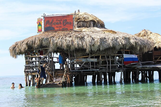 Private Tour from Negril to YS Falls and Pelican Bar - Price and value: $500 per group for up to 2