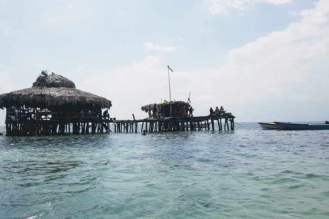 Private Tour from Negril to YS Falls and Pelican Bar - Who should book this tour, and who should think twice