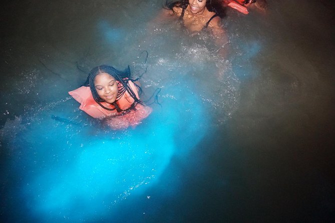 Private Tour from Ocho Rios Runaway Bay to the Luminous Lagoon - Luminous Lagoon, explained without the science headache