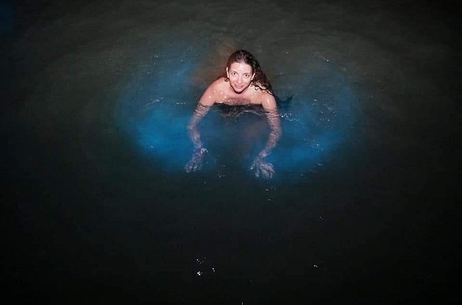 Private Tour from Ocho Rios Runaway Bay to the Luminous Lagoon - Why some nights look brighter than others