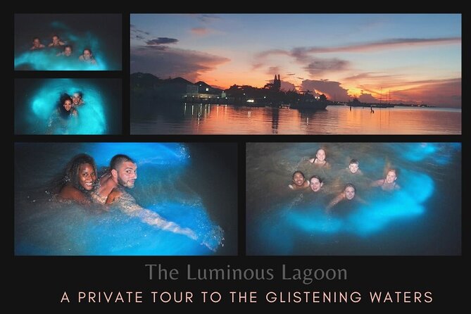 Private Tour in the Glistening Waters from Montego Bay - Key things to know before you go