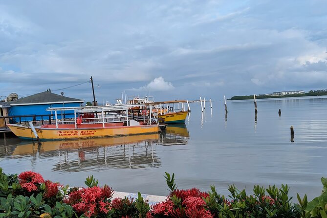 Private Tour in the Glistening Waters from Montego Bay - Finesse Vacations Jamaica: what to expect from the operator