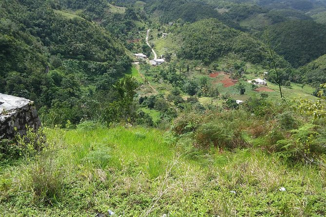 Private Tour Ocho Rios or Runaway Bay To 9 Mile Bob Marley Birth & Resting Place - Drinks, souvenirs, and small money tips that save stress