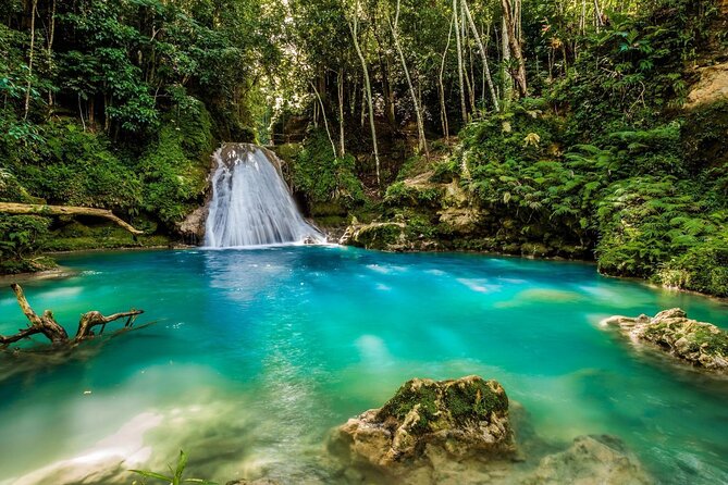 Private Tour To Blue Hole and Dunn’s River from Montego Bay - When This Trip Feels Like a Win