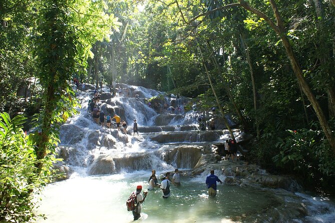 Private Tour to Dunns River and Horseback Riding with Local Guide - Key Highlights I Think You’ll Care About
