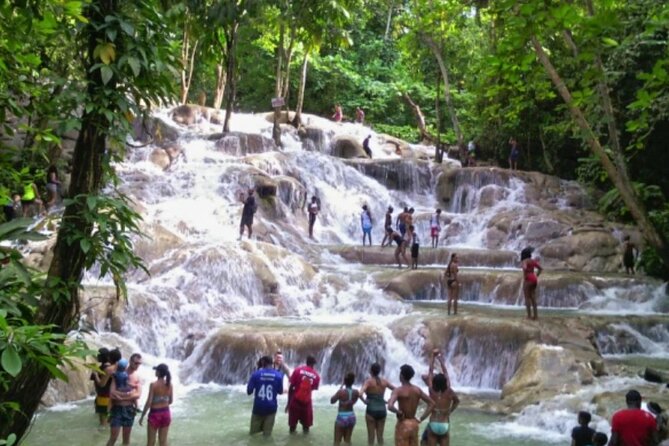 Private Tour to Dunns River and Horseback Riding with Local Guide - Dunns River Falls Climb: What You’ll Do and What to Expect