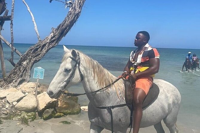 Private Tour to Dunns River and Horseback Riding with Local Guide - The Local Guide Factor: Green, Carado, and Clear Communication