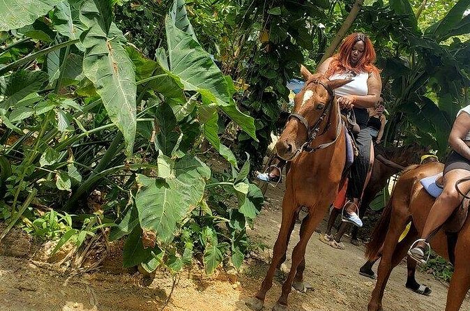 Private Tour to Dunns River and Horseback Riding with Local Guide - Price and Value: Is $115 a Fair Deal?
