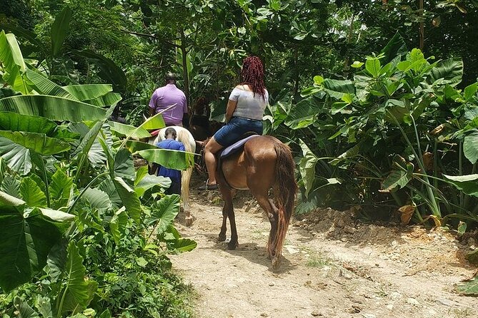Private Tour to Dunns River and Horseback Riding with Local Guide - Pickup, Timing, and How the 6-Hour Day Really Works