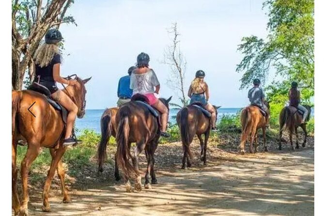 Private Transport and Airport Transfer in Montego Bay - The drive itself: what you get in 10 to 20 minutes