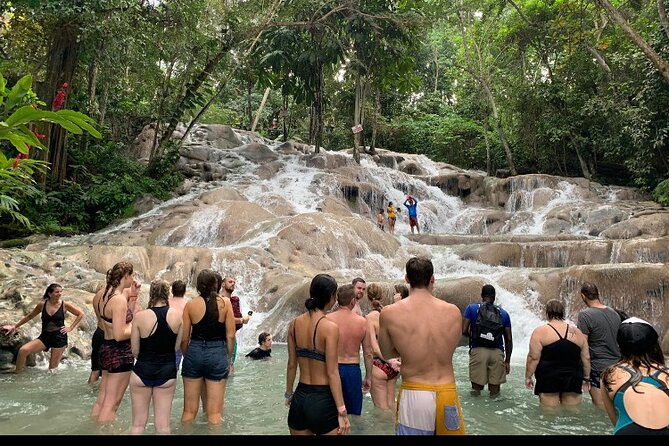 Private Transportation from Montego Bay to Mystic Mountain and Dunn's River Fall - Quick reasons this transfer works so well