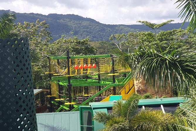 Private Transportation from Montego Bay to Mystic Mountain and Dunn's River Fall - A smart half-day plan: Montego Bay to two Jamaica highlights