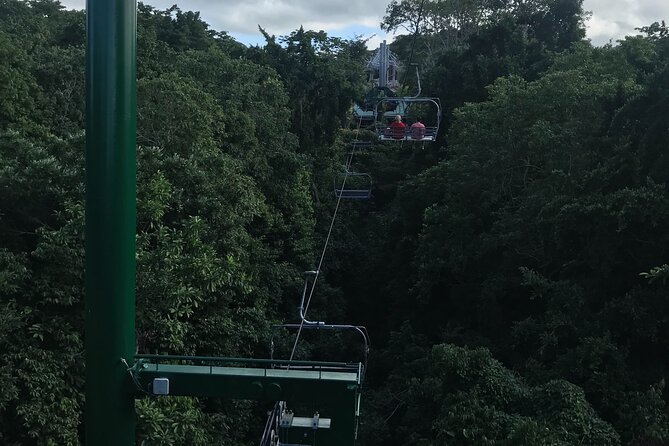 Private Transportation from Montego Bay to Mystic Mountain and Dunn's River Fall - The driver factor in Montego Bay: why the right person changes everything