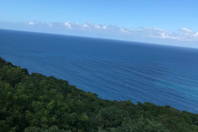 Private Transportation from Montego Bay to Mystic Mountain and Dunn's River Fall - Value check: included, not included, and how to budget like a local