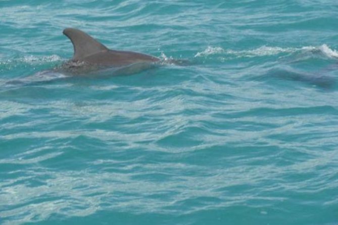 [PRIVATE] YS Falls, Black River, Pelican Bar - Entrance & Lunch - A private south coast day from Montego Bay that actually feels easy