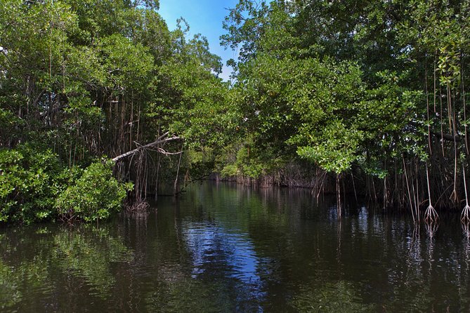 [PRIVATE] YS Falls, Black River, Pelican Bar - Entrance & Lunch - YS Falls: the 120-foot waterfall, jitney ride, and natural swimming pools