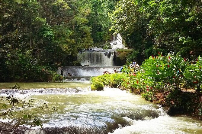 [PRIVATE] YS Falls, Black River, Pelican Bar - Entrance & Lunch - Your dedicated guide matters more than most people think