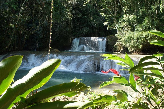 [PRIVATE] YS Falls from Negril - Entrance fees + Lunch Included - Private pickup at 8:00am, then south-coast roads