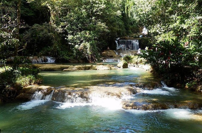 [PRIVATE] YS Falls from Negril - Entrance fees + Lunch Included - The guides matter: Romaine, Robert, Gilly, and Dale