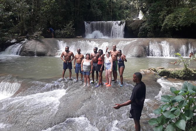 Private YS Falls Tour from Montego Bay - Montego Bay to YS Estate, with transport that actually feels easy