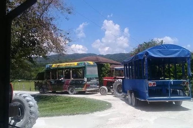 Private YS Falls Tour from Montego Bay - Zipline on site: add-on fun if your group wants action
