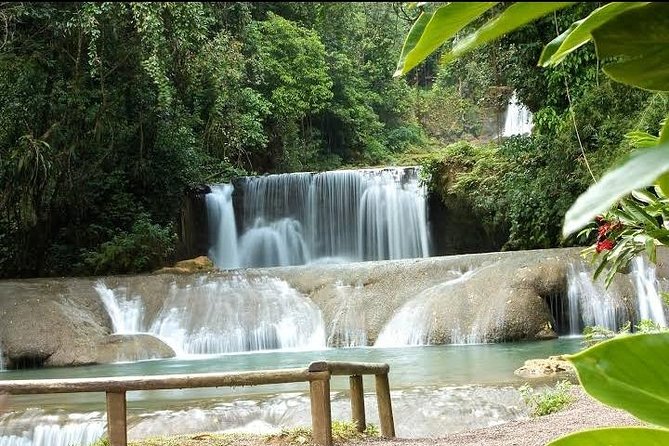 Private YS Falls Tour from Montego Bay - What kind of traveler should book this?