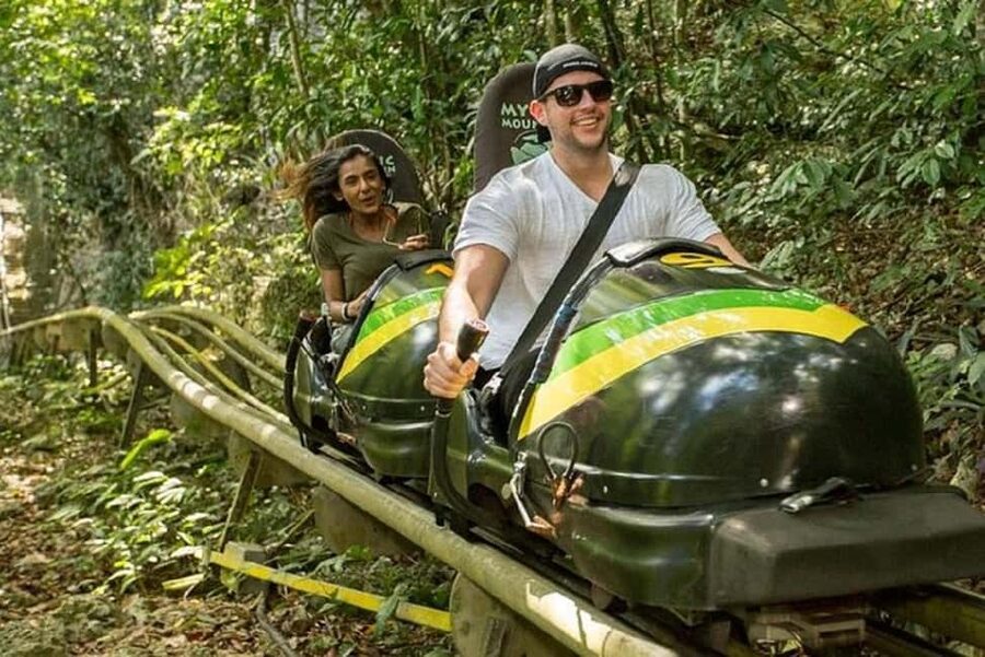 Rainforest Bobsled Mystic Mountain transportation - Booking Smart: How to Use This Service Without Overpaying
